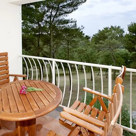 Hotel Bellevue Plava Laguna 4*